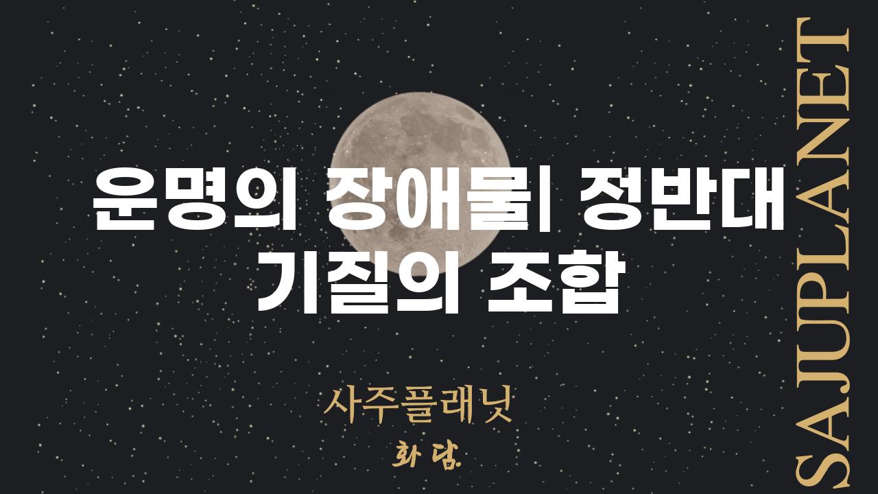 운명의 장애물| 정반대 기질의 조합