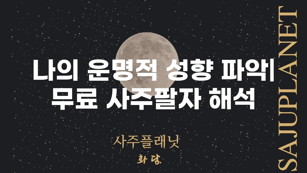 나의 운명적 성향 파악| 무료 사주팔자 해석