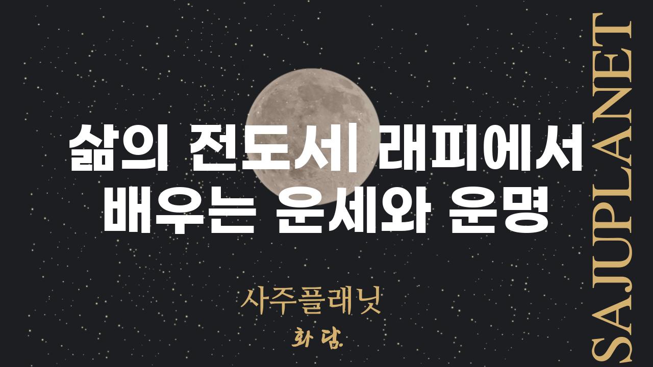 삶의 전도서| 래피에서 배우는 운세와 운명