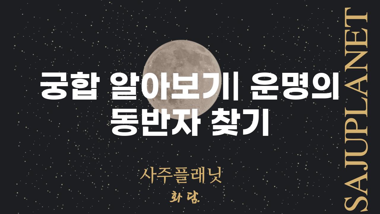 궁합 알아보기| 운명의 동반자 찾기