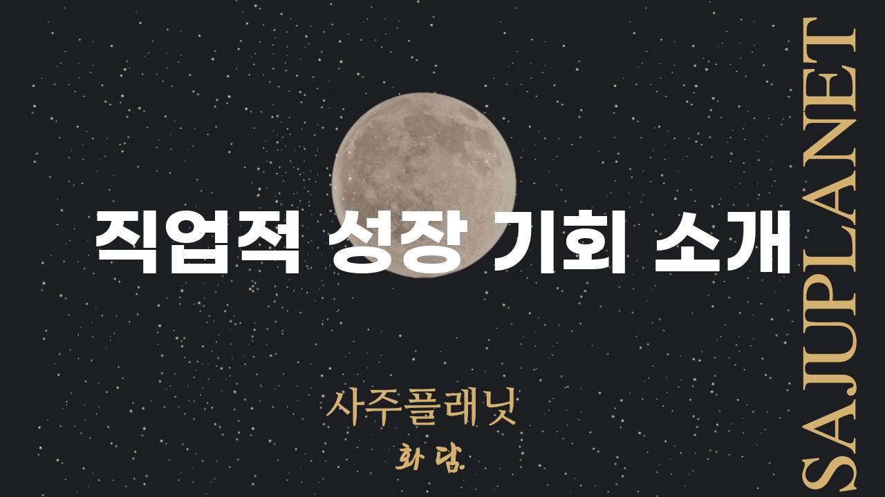 직업적 성장 기회 소개