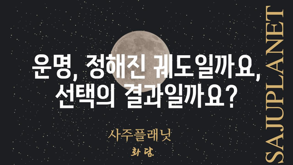 사주팔자, 운명의 몇 퍼센트를 차지할까요? | 운명, 사주, 팔자, 비중, 영향