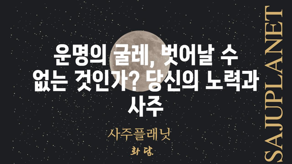 나의 사주팔자 분석| 인정받지 못하는 노력의 비밀을 풀다 | 사주, 운명, 노력, 성공, 성장