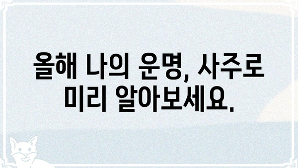 나의 운명, 사주명식으로 풀어보세요! | 사주풀이, 운세, 궁합,  내 운명 알아보기