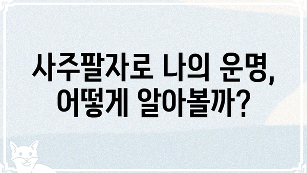 나의 운명, 사주팔자 분석으로 알아보는 방법 | 사주, 운세, 풀이, 해석, 운명