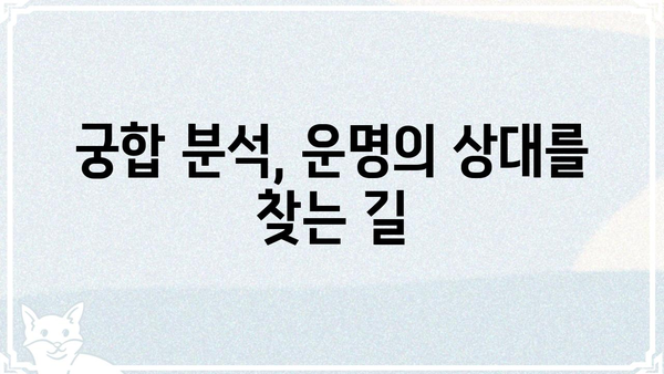 궁합 운명 분석| 나의 완벽한 파트너 찾기 | 연애 운세, 궁합 테스트, 이상형 분석