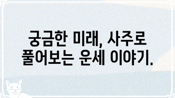 나의 사주팔자 무료 확인 & 의미 해설 | 사주, 운세, 무료풀이, 궁합