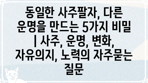 동일한 사주팔자, 다른 운명을 만드는 5가지 비밀 | 사주, 운명, 변화, 자유의지, 노력