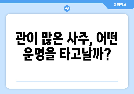 사주팔자 관이 많은 사람들의 공통점 5가지 | 관운, 성격, 인생, 성공, 특징