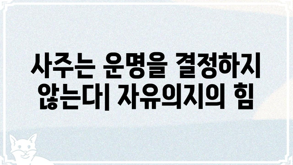 동일한 사주팔자, 다른 운명을 만드는 5가지 이유 | 사주, 운명, 자유의지, 변화