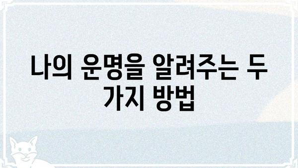 사주팔자 vs 신점| 궁금증 해소! 차이점 비교분석 | 운명, 점술, 미래 예측