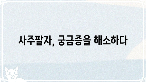 사주팔자의 이해, 1부| 나의 운명을 엿보는 첫걸음 | 사주 기본, 팔자풀이, 운명, 12궁, 오행