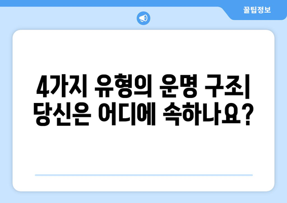 사주팔자 운명 구조 비교 분석| 4가지 유형의 차이점과 특징 | 사주, 팔자, 운명, 비교, 분석