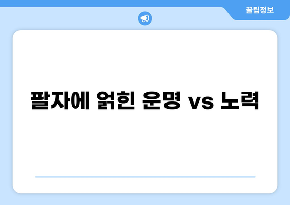 팔자에 얽힌 운명 vs 노력