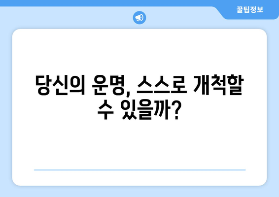 사주팔자 운명 구조 비교 분석| 4가지 유형의 차이점과 특징 | 사주, 팔자, 운명, 비교, 분석