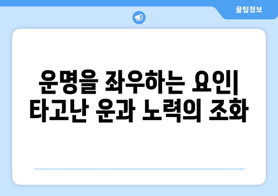 사주팔자 운명 구조 비교 분석| 4가지 유형의 차이점과 특징 | 사주, 팔자, 운명, 비교, 분석