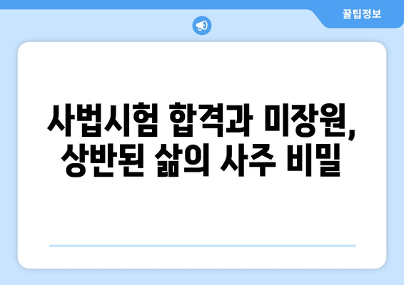 사주팔자 비교| 사법시험 합격자 vs 미장원 출신 의사 | 운명, 성공, 직업, 성격, 비교 분석