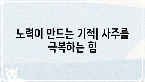 동일한 사주팔자, 다른 운명을 만드는 5가지 비밀 | 사주, 운명, 변화, 자유의지, 노력