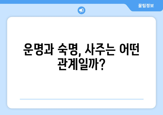 사주팔자가 내 인생에 미치는 영향| 믿을 수 있는가? | 운명, 숙명, 미래 예측, 사주풀이