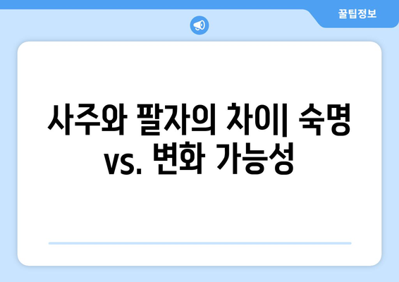 사주팔자 운명 구조 비교 분석| 4가지 유형의 차이점과 특징 | 사주, 팔자, 운명, 비교, 분석