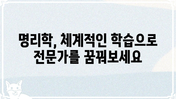 무료로 배우고 자격증까지! 명리학 완벽 마스터 가이드 | 명리학, 무료 강의, 자격증, 학습