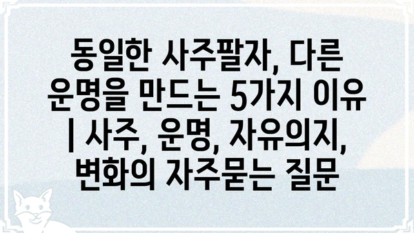 동일한 사주팔자, 다른 운명을 만드는 5가지 이유 | 사주, 운명, 자유의지, 변화