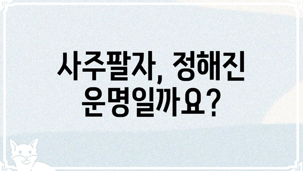 사주팔자는 정해져 있을까? 당신의 궁금증을 풀어드립니다 | 운명, 숙명, 자유의지, 풀이