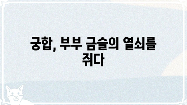 불행한 결혼 사주팔자 조합? 궁합으로 알아보는 부부 금슬의 비밀 | 궁합, 사주, 결혼, 부부, 금슬, 조합