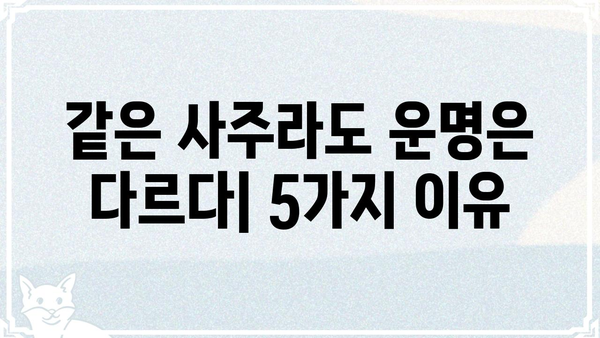 동일한 사주팔자, 다른 운명을 만드는 5가지 이유 | 사주, 운명, 자유의지, 변화