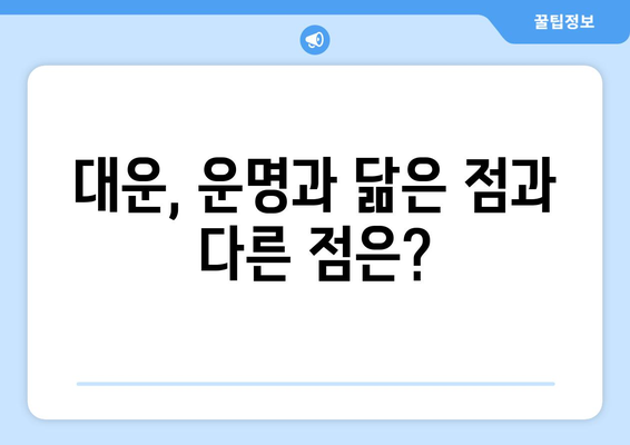 사주팔자 대운, 운명과 얼마나 닮았을까? | 대운, 운명, 유사성, 차이점, 해석