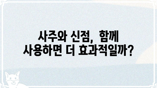 사주팔자 vs 신점| 궁금증 해소! 차이점 비교 분석 | 사주, 신점, 운세, 점술, 차이