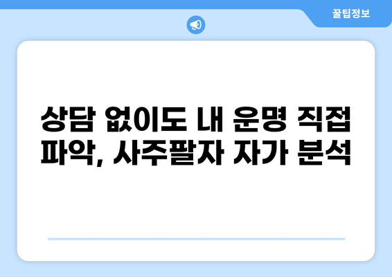 상담 없이도 내 운명 직접 파악, 사주팔자 자가 분석