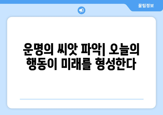 운명의 씨앗 파악| 오늘의 행동이 미래를 형성한다