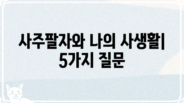 사주팔자가 나의 사생활에 미치는 영향은? | 사주, 운명, 개인정보, 프라이버시