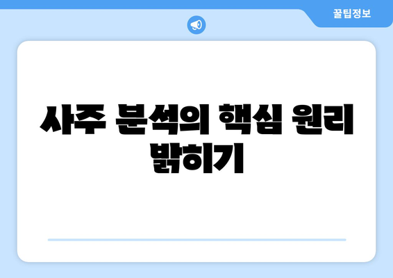 사주 분석의 핵심 원리 밝히기