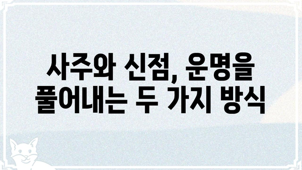 사주팔자 vs 신점| 운명 해석의 차이점 비교 분석 |  사주, 신점, 운명, 점술, 비교