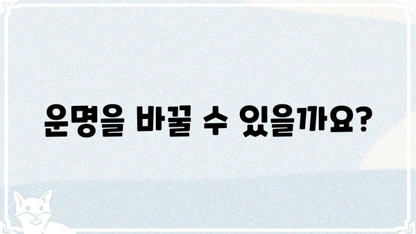 사주팔자는 정해져 있을까? 당신의 궁금증을 풀어드립니다 | 운명, 숙명, 자유의지, 풀이