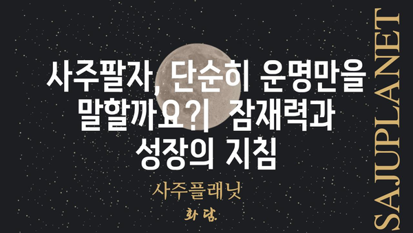 사주팔자란 무엇일까요? 기본 개념부터 알아보기 | 사주, 팔자, 운명,  점성술,  사주풀이