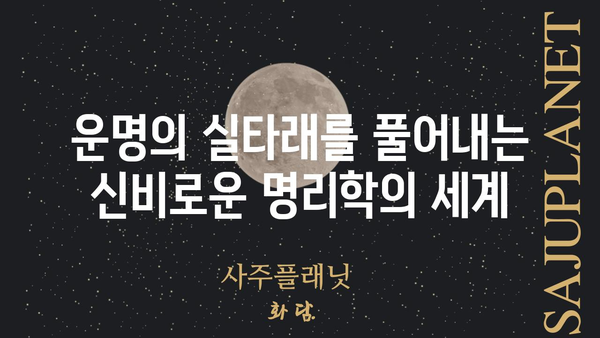 명리학으로 나를 들여다보는 시간| 사주팔자 심층 분석 | 사주풀이, 운세, 궁합, 명리학, 운명