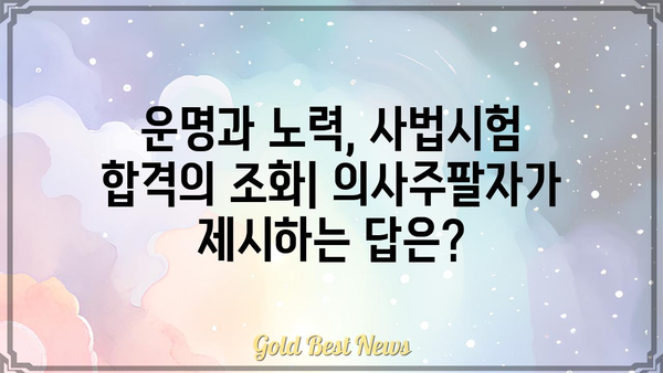 사법시험 합격의 길과 의사주팔자, 과연 어떤 연관성이 있을까? | 사법시험, 의사, 주팔자, 운명, 성공, 비교 분석