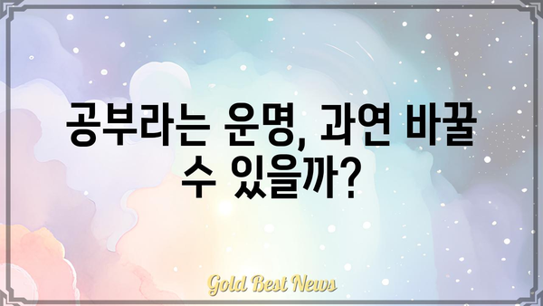 사주팔자 묘령의 여주인공, 공부하라니?! 운명을 거스르는 학업 성공 전략 | 사주, 묘령, 공부, 성공, 운명, 전략