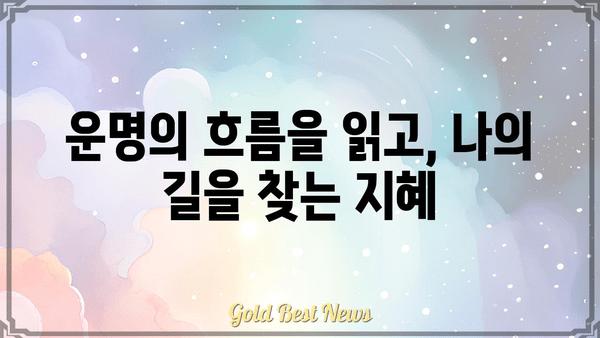 나의 현실을 밝히는 거울, 사주팔자로 나를 알아보기 | 사주, 운명, 현실, 자기 이해